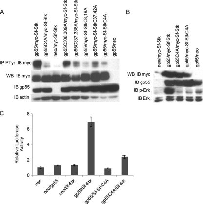 FIG. 6.