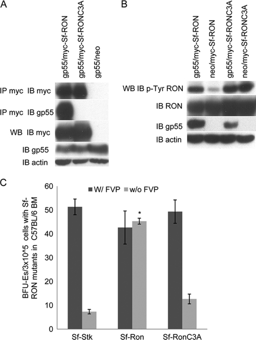 FIG. 10.