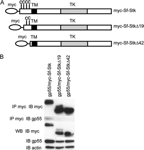 FIG. 4.