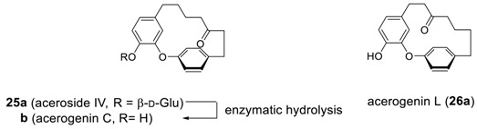 graphic file with name molecules-23-03107-i032.jpg