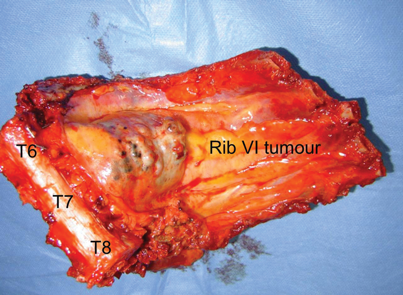 Figure 20