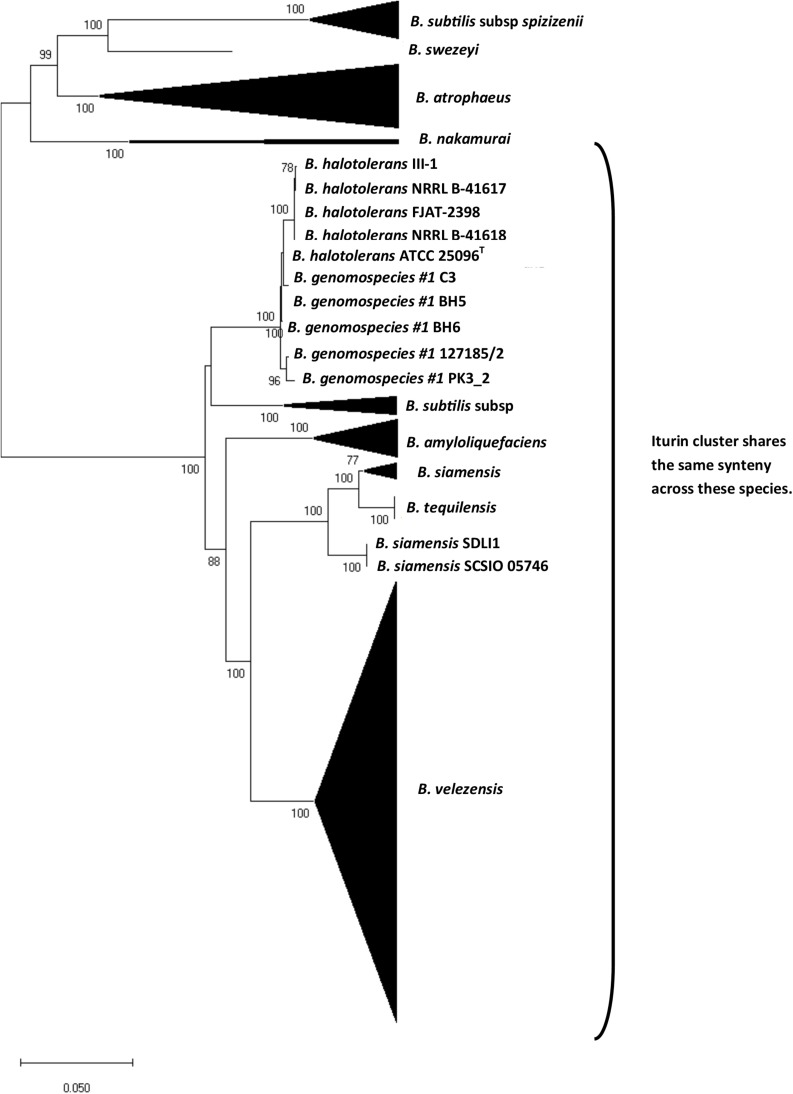 FIGURE 4