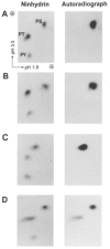 Figure 15