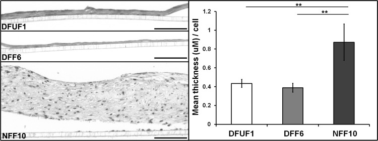 FIG. 5.