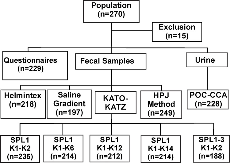 Fig 1