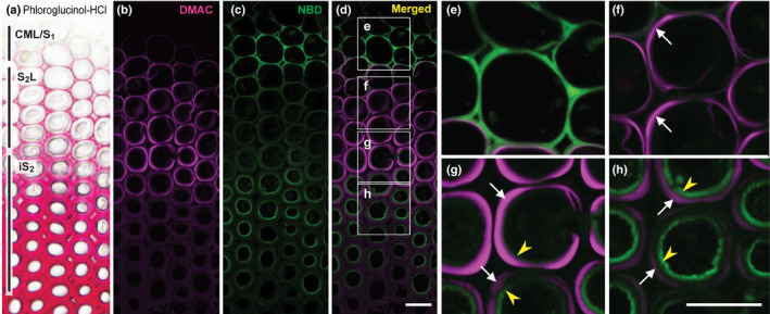 Fig. 4