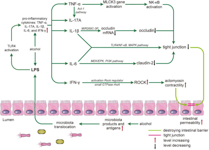 FIGURE 2