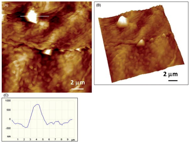 Figure 7