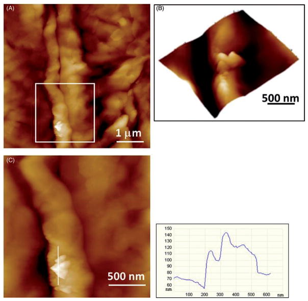 Figure 6