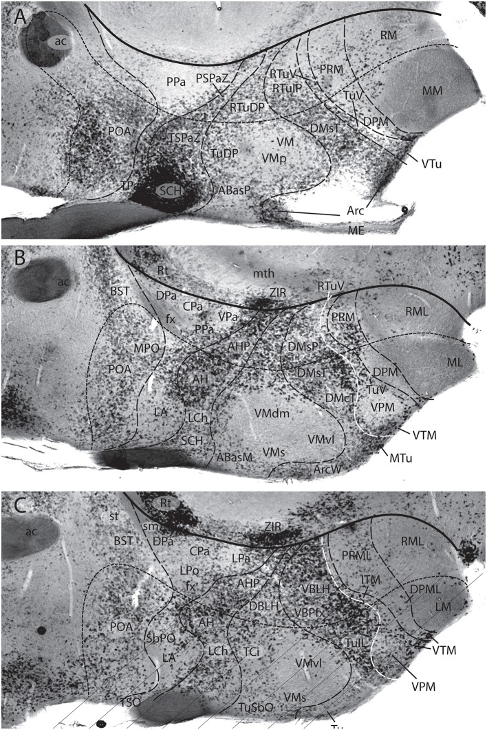 Figure 15