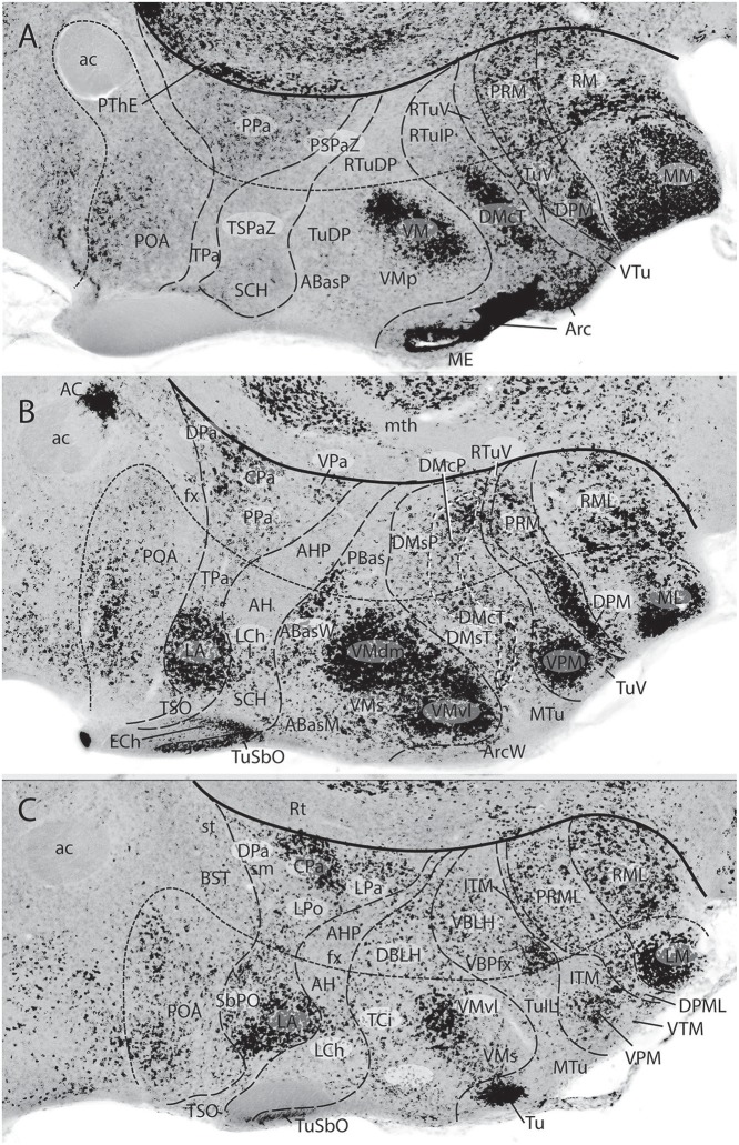 Figure 14