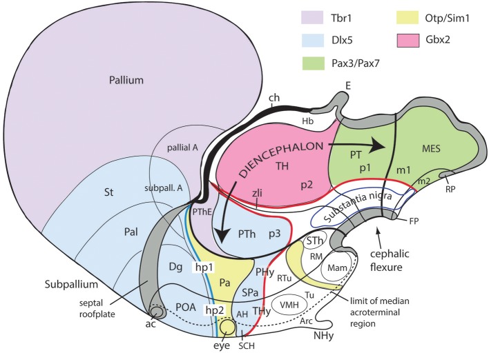 Figure 10