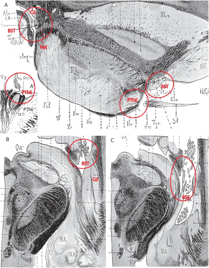 Figure 12