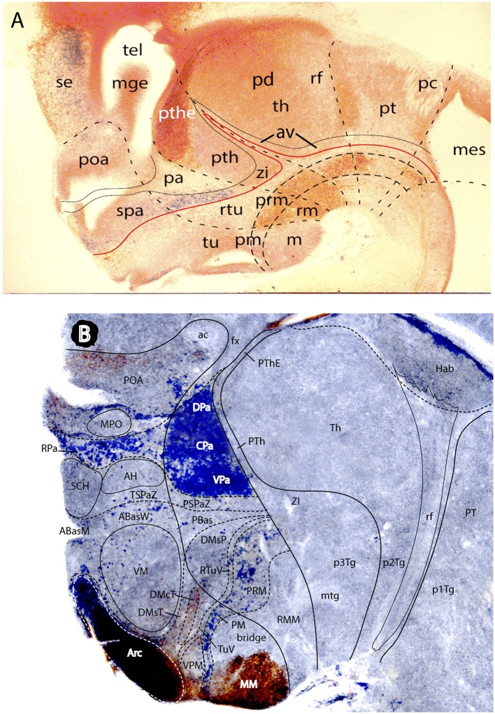 Figure 13