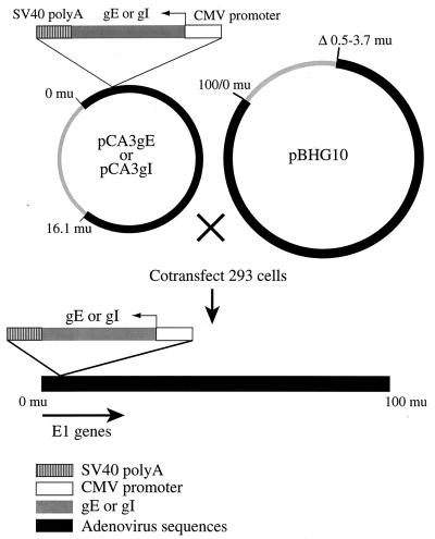 FIG. 1