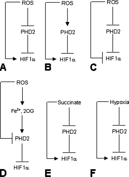 FIG. 8.