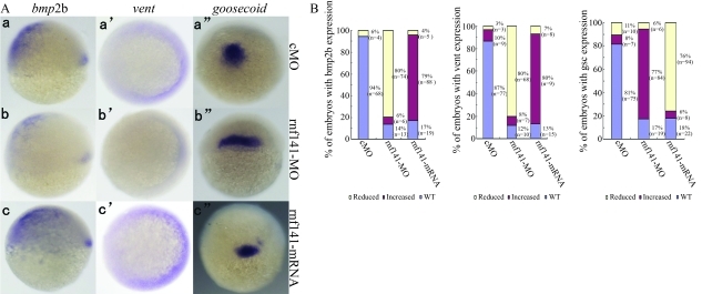 Figure 5