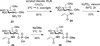 Scheme 6