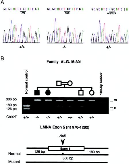 Figure  3