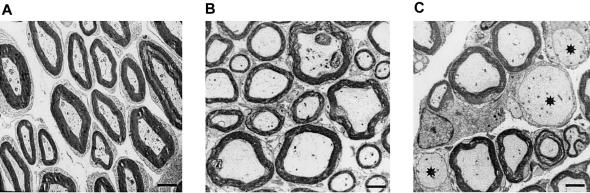 Figure  5