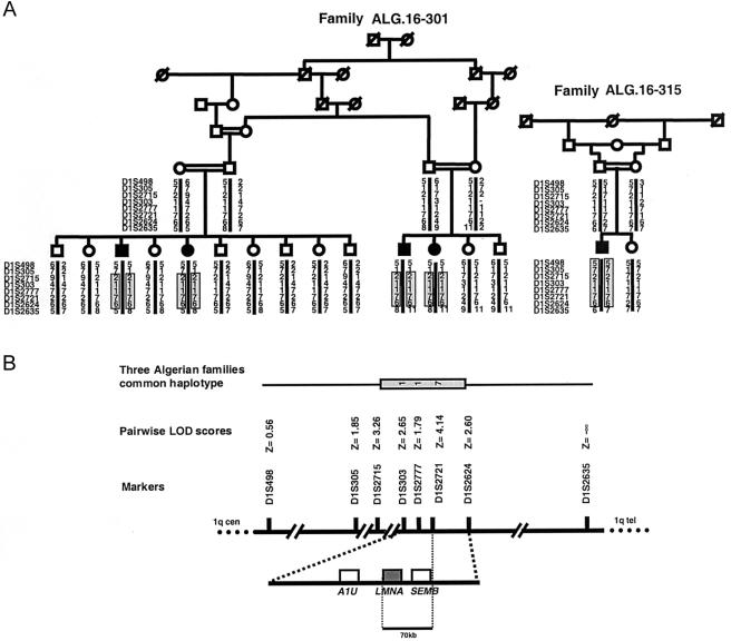 Figure  2