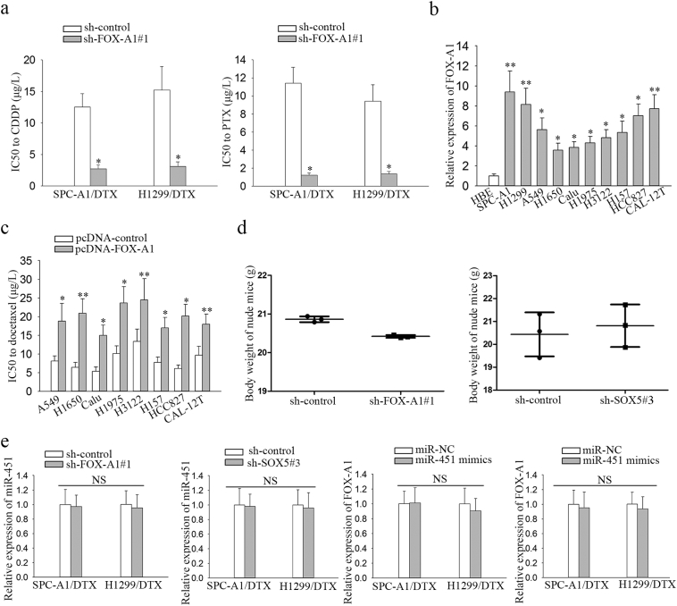 Supplementary Fig. 7