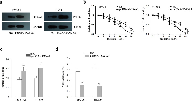 Supplementary Fig. 4