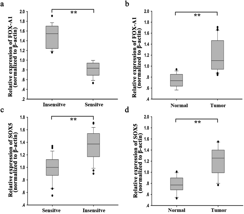 Supplementary Fig. 6