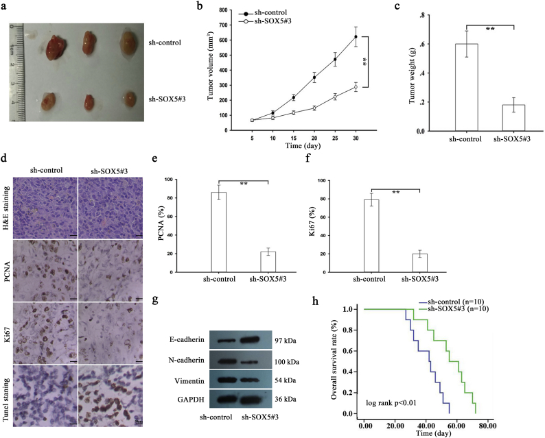 Supplementary Fig. 3