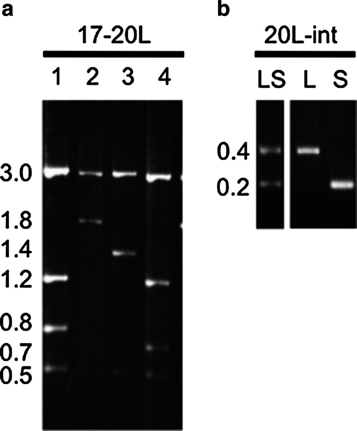 Fig. 3