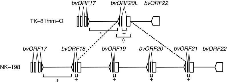 Fig. 2