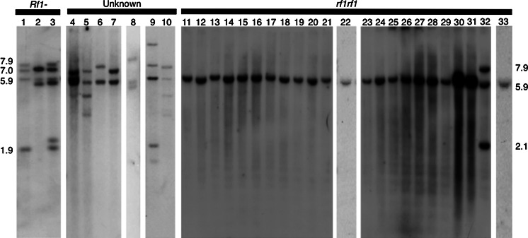 Fig. 1