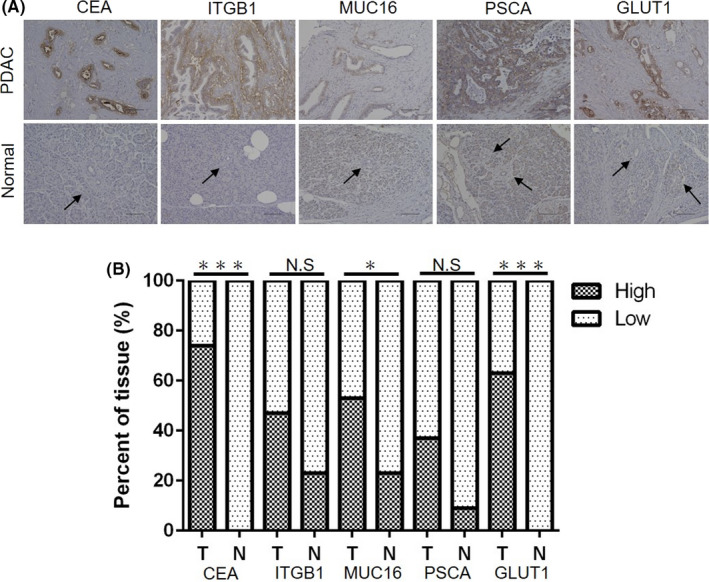 FIGURE 1