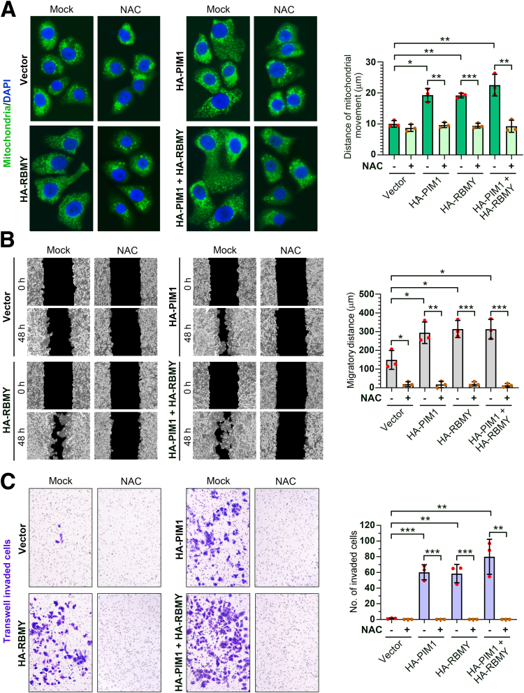 Figure 14