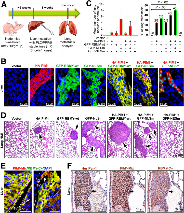 Figure 15