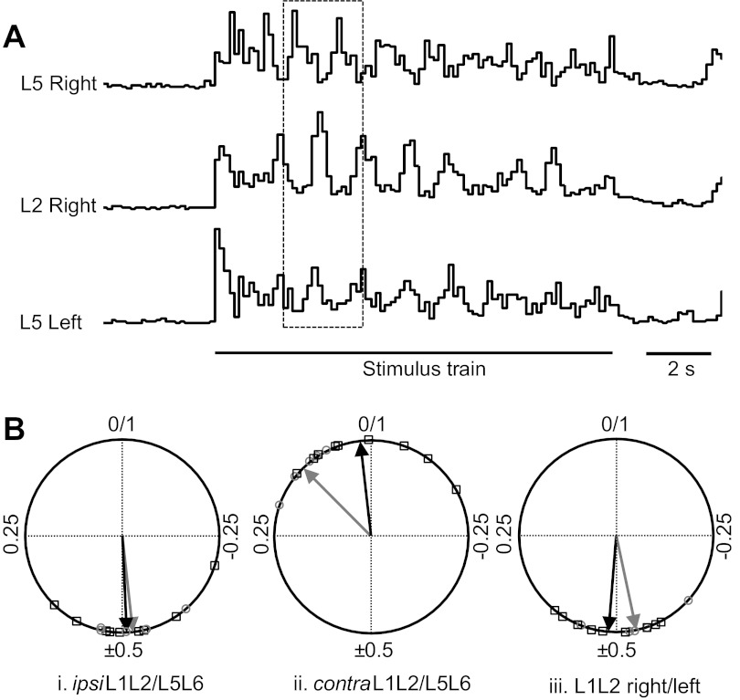 Fig. 6.