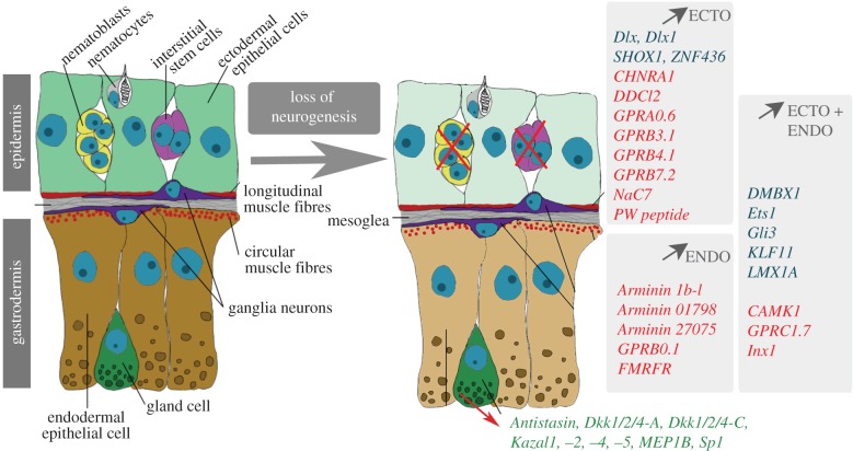 Figure 6.