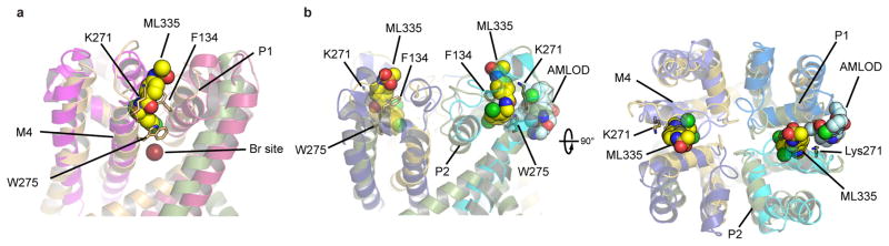 Extended Data Figure 3