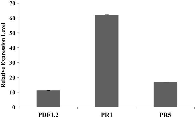 Fig. 4