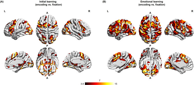 Figure 2—figure supplement 1.