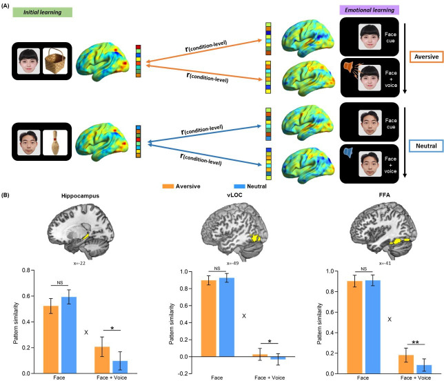 Figure 2—figure supplement 2.