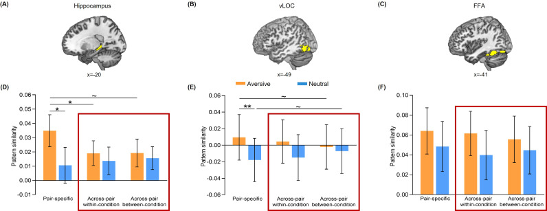 Figure 2—figure supplement 4.