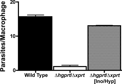 FIGURE 3.