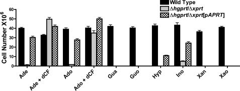 FIGURE 10.