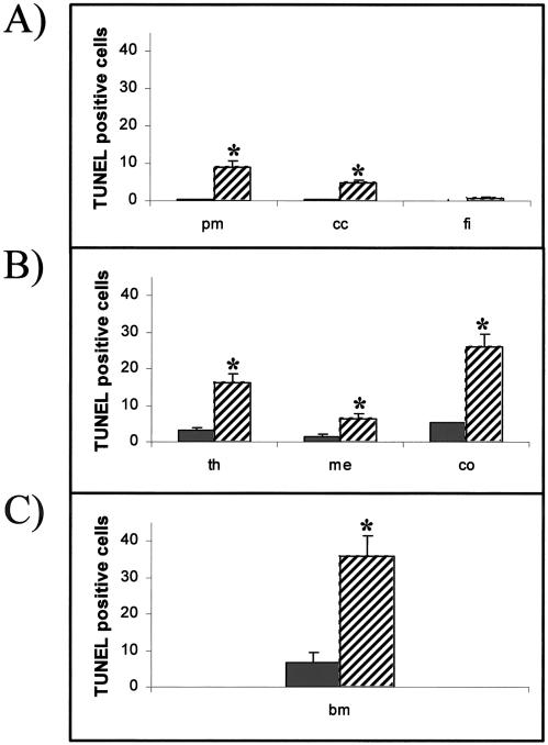 Fig 3.