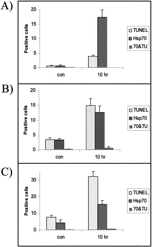 Fig 5.