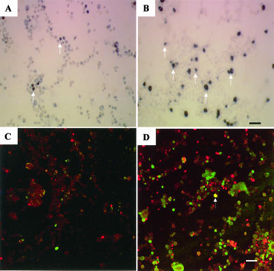 Fig 7.