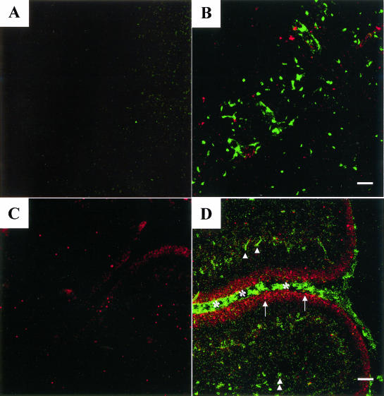 Fig 4.