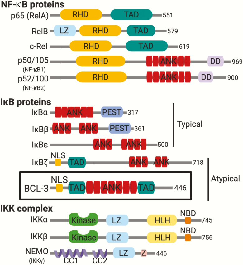 Figure 1.