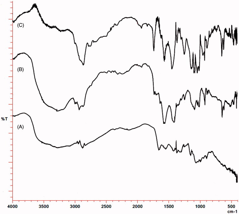 Figure 3.